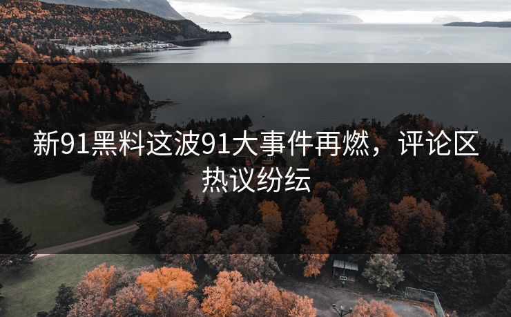 新91黑料这波91大事件再燃，评论区热议纷纭