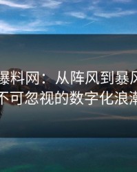 51吃瓜爆料网：从阵风到暴风，一场不可忽视的数字化浪潮