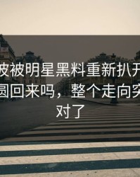 这次风波被明星黑料重新扒开后，这次还能圆回来吗，整个走向突然就不对了