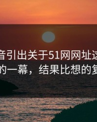 一段录音引出关于51网网址这事被忽略的一幕，结果比想的复杂