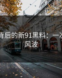 91爆料背后的新91黑料：一次别样的风波