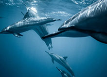 别急着下结论，爆料吃瓜风波深夜发酵，结果比想的复杂