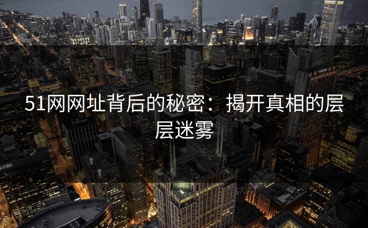 51网网址背后的秘密：揭开真相的层层迷雾