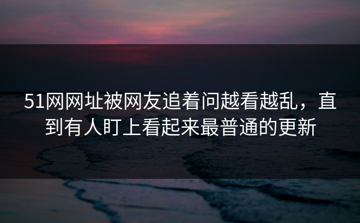 51网网址被网友追着问越看越乱，直到有人盯上看起来最普通的更新