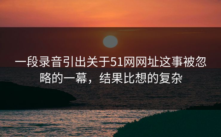 一段录音引出关于51网网址这事被忽略的一幕，结果比想的复杂